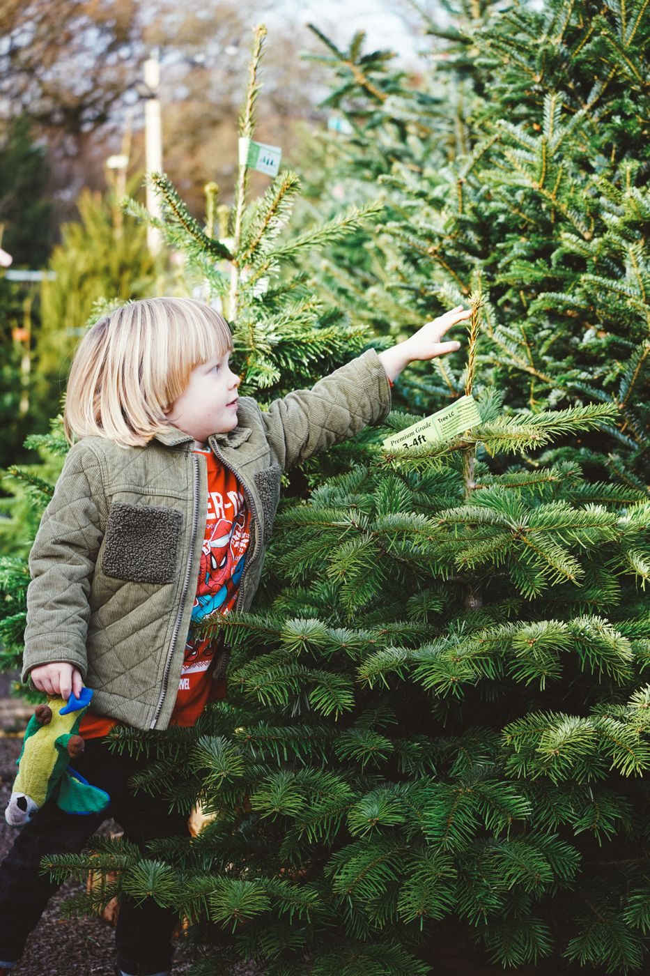 A young visitor choosing a Christmas tree at our Cardiff store